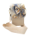 120a7eb284ab5b059603df6af692fda9.png